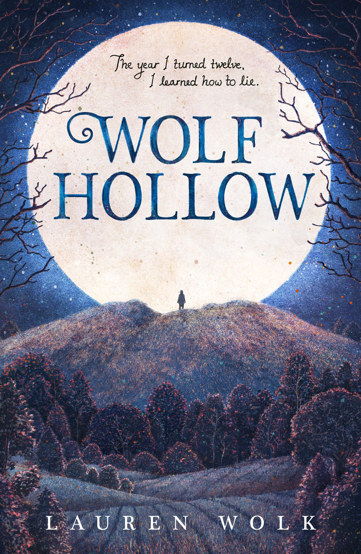 Wolf Hollow Penguin Random House South Africa